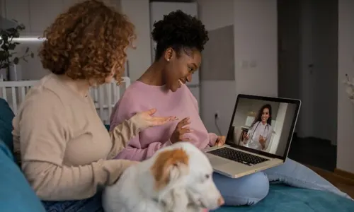 Atendimento pet por Telemedicina