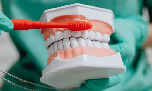 Odontologia